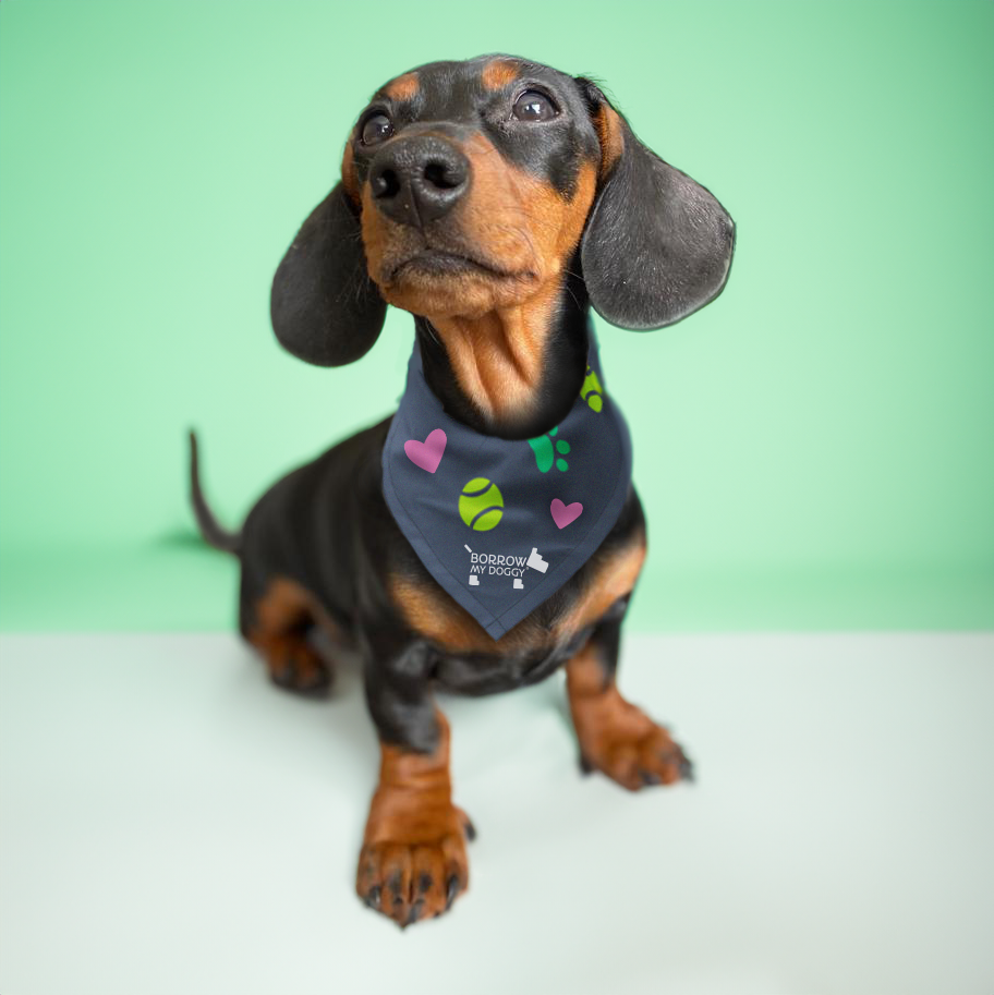 BorrowMyDoggy dog bandana