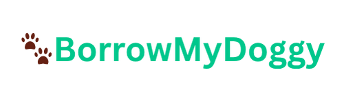 BorrowMyDoggy store