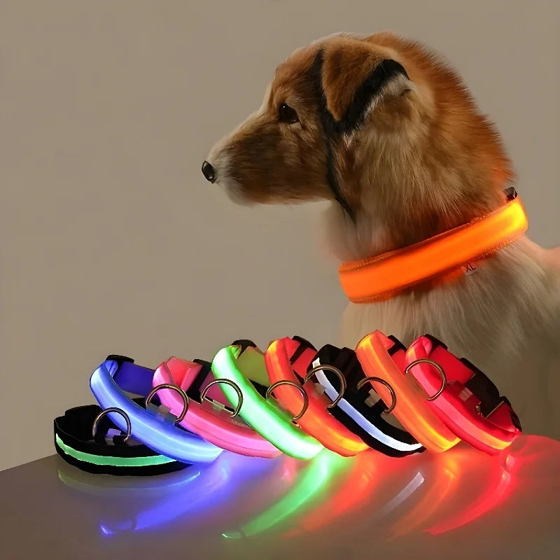 LED Collar Glow In The Dark