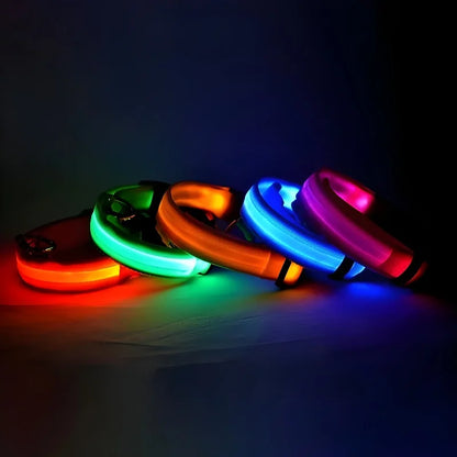 LED Collar Glow In The Dark