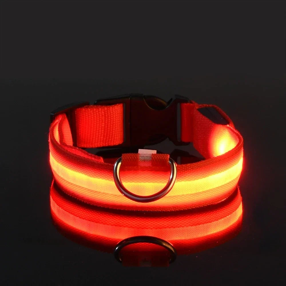 LED Collar Glow In The Dark