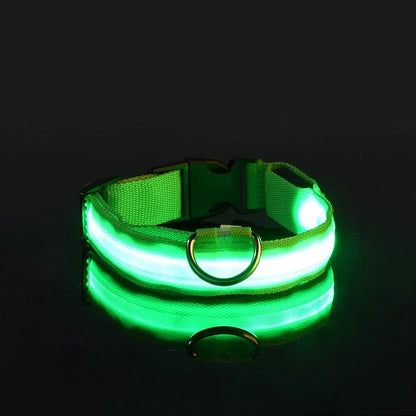 LED Collar Glow In The Dark