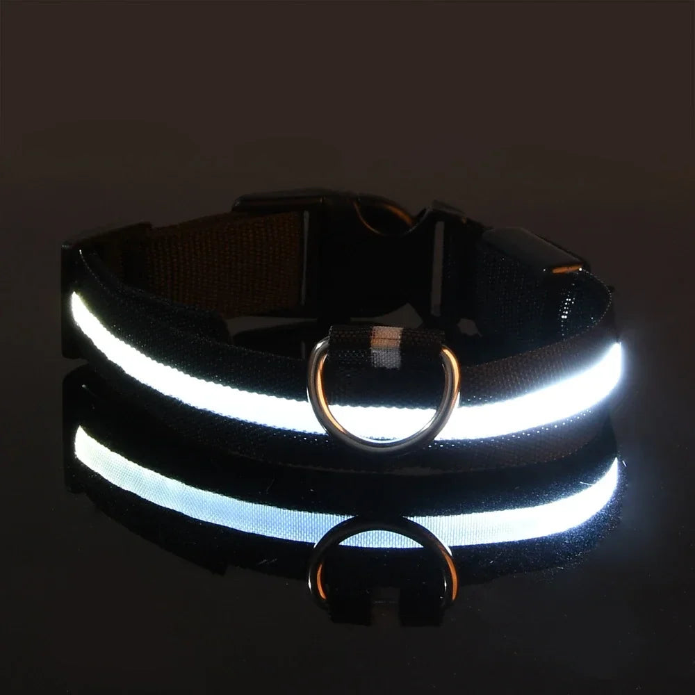 LED Collar Glow In The Dark