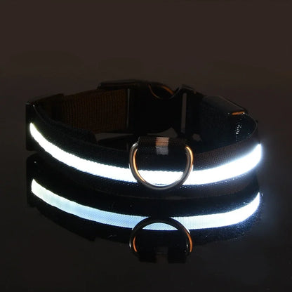 LED Collar Glow In The Dark
