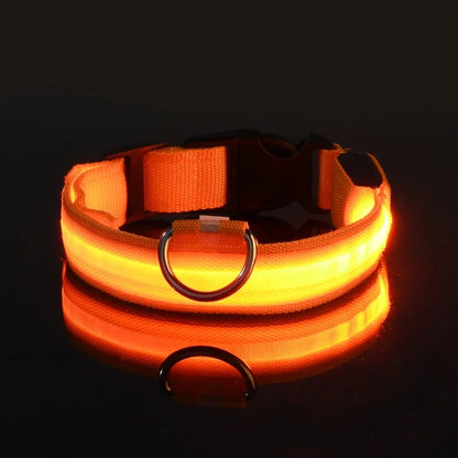 LED Collar Glow In The Dark