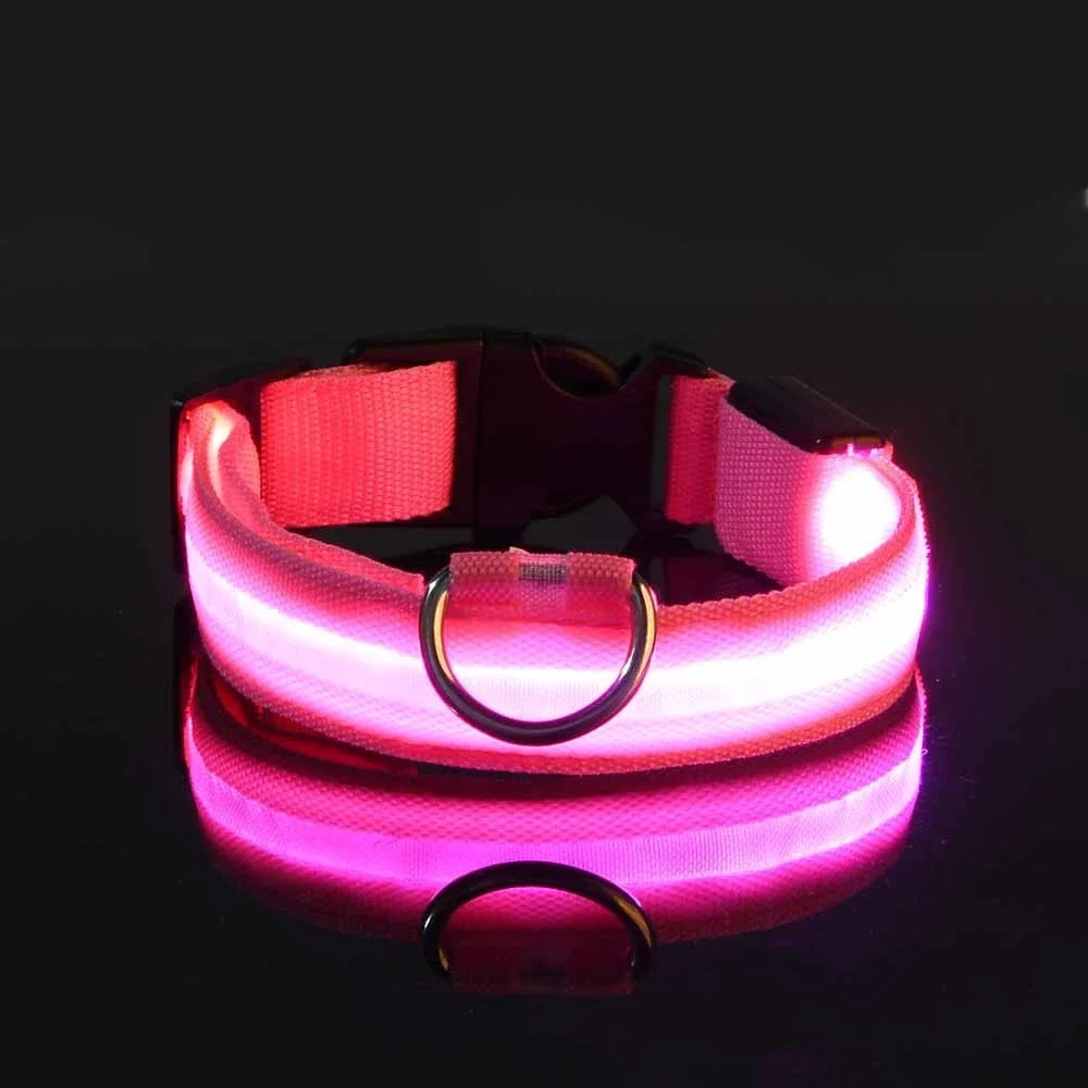 LED Collar Glow In The Dark