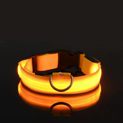 LED Collar Glow In The Dark
