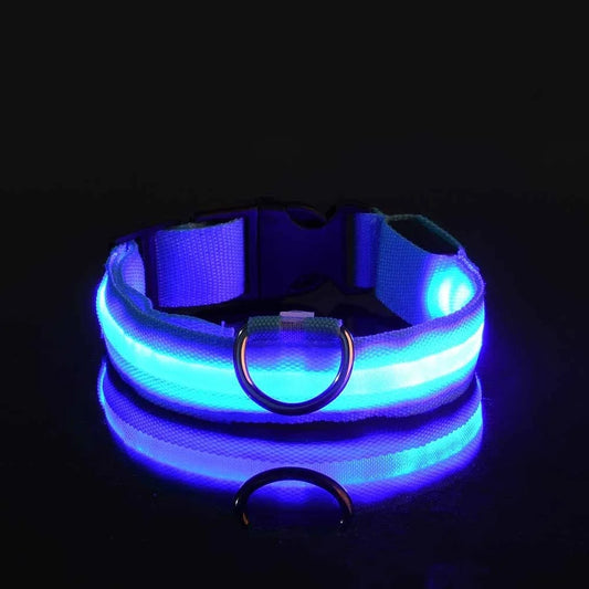LED Collar Glow In The Dark