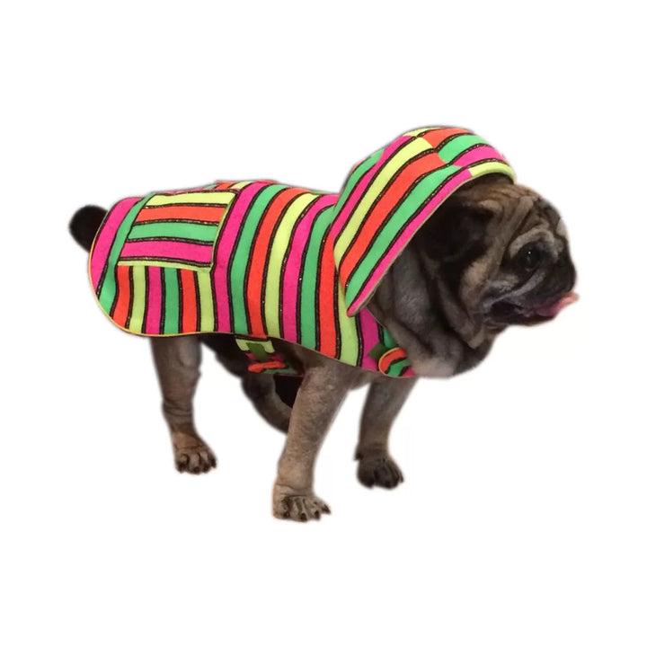 Rainbow by Doggy Doo Little