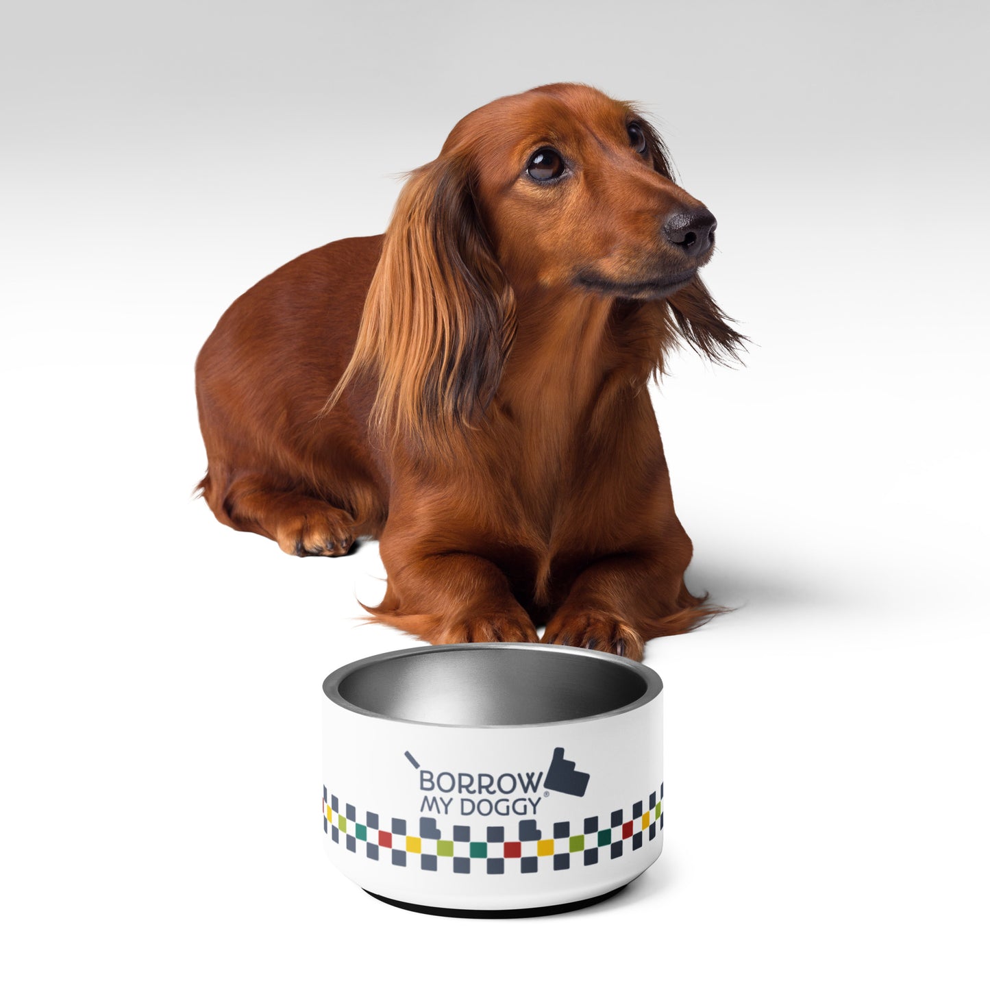 Pawprints of happiness dog bowl