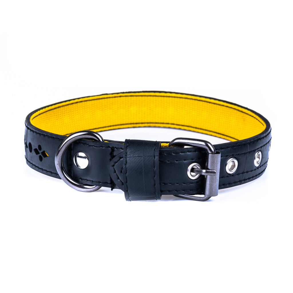 Eco Friendly Recycled Inner Tube Vegan Dog Collar-6