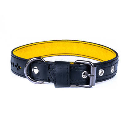 Eco Friendly Recycled Inner Tube Vegan Dog Collar-6